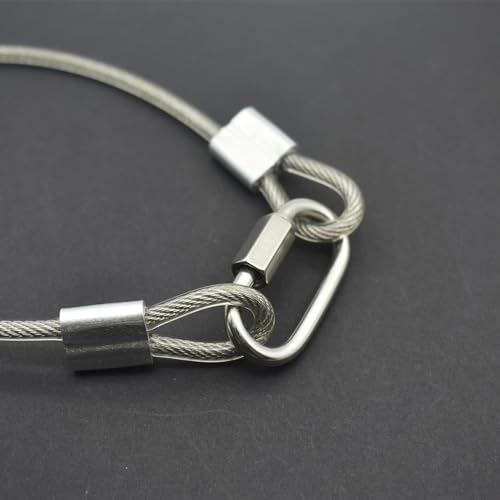 10 Pcs 2mm Wire 12 inch Vinyl Coated Stainless Steel Cable with Loops Short Wire Rope Lanyard Lock Security Chain Link for Outdoor Gates (2mm(T) X 12 in(L) 10PCS / Clear)
