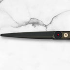 Scissors for Haircutting Professionals (5.5 Inches)