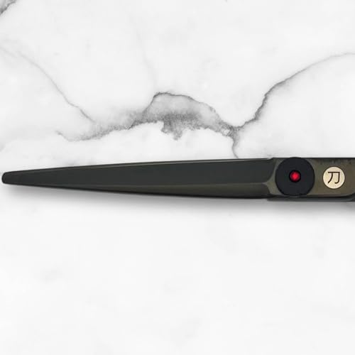 Scissors for Haircutting Professionals (5.5 Inches)