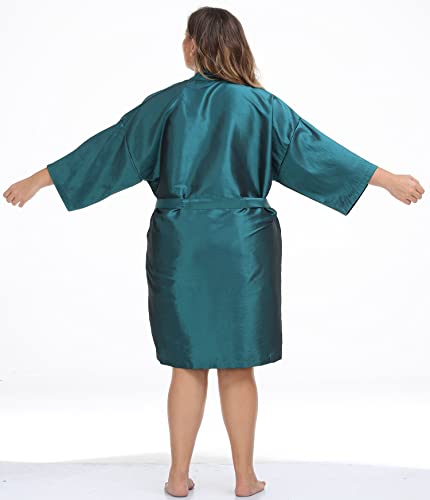 Salon Client Gown Robes Cape (Blue)