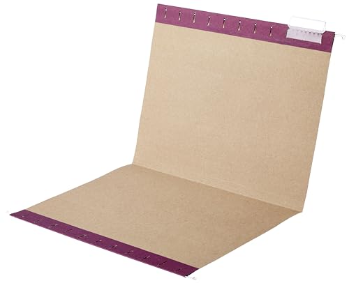 Hanging File Folders with Adjustable Tabs for Document Organization (Assorted Jewel-tone Colors / Letter)