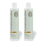 Non Toxic Vegan Shampoo with Organic Ingredients (Daily Shampoo / 9.6 Fl Oz (Pack of 2))