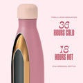 Stainless Steel Water Bottle (Dusty Pink / 17 Ounces)
