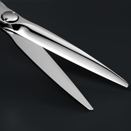 AOLANDUO Master Series VG10 Steel Professional Hair Cutting Scissors (Wet and Dry / 6.0 Inch)