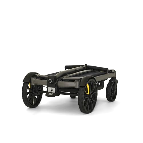 Cruiser City Premium Urban Wagon Stroller for Babies (Cruiser City 2 Seater)