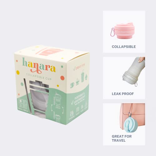 Collapsible Cup with Reusable Straw (Pink)