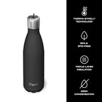 Stainless Steel Water Bottle with Flip Straw Cap (Onyx / 17 Ounces)