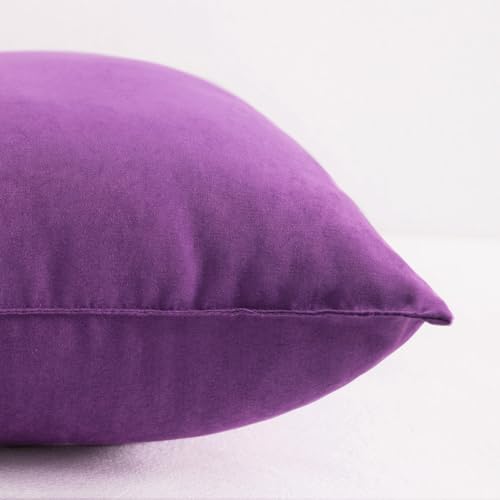 Toddler Pillows (Purple / 13"x18")