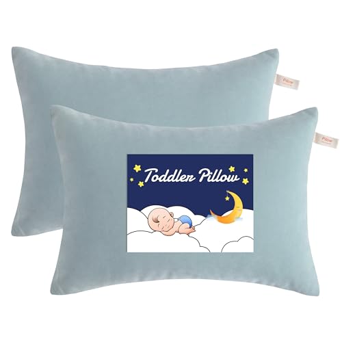 Toddler Pillows (Sea Green / 13"x18")