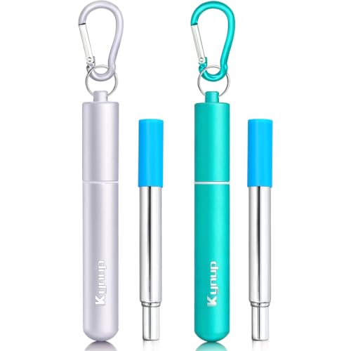 Reusable Collapsible Metal Straws (Turquoise-Silver)