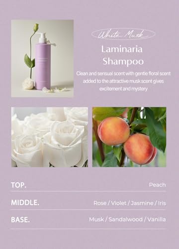 Laminaria Shampoo with Organic Ingredient (16.9 Fl Oz (Pack of 1))