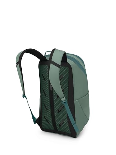 Astronova Campus Laptop Backpack (Pine Leaf Green)