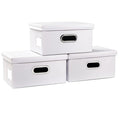 Collapsible Storage Box with Lid [3 (White / Small(3-Pack))