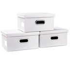Collapsible Storage Box with Lid [3 (White / Small(3-Pack))