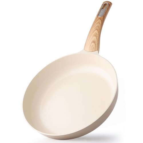 11inch Ceramic Nonstick Frying Pan Paella Pan (11 Inch / CERAMIC Taupe)