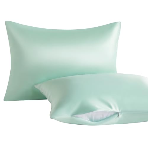 Toddler Pillows with Pillowcases Set (Cyan (Satin) / 13x18 Inch (Pack of 2))