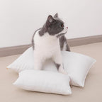 Tiny Pillows Down Alternative 7"x11" 100% Microfiber (Dark Brown / 11"x7")