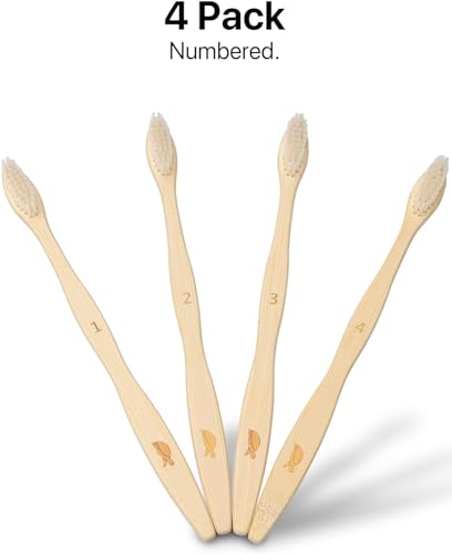 Plant Based Bristles (1 Count (Pack of 4) / Medium)