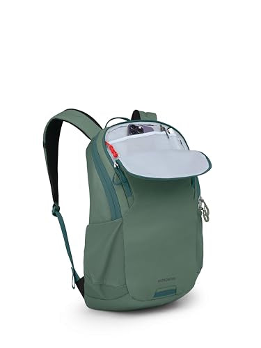 Astronova Campus Laptop Backpack (Pine Leaf Green)