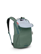 Astronova Campus Laptop Backpack (Pine Leaf Green)