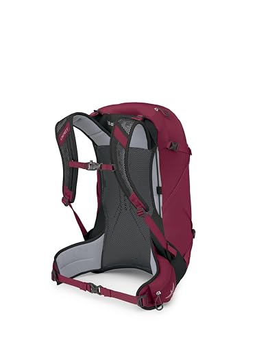 Hikelite 28L Lightweight Hiking Backpack (Small-Medium / Chameleon/Black)