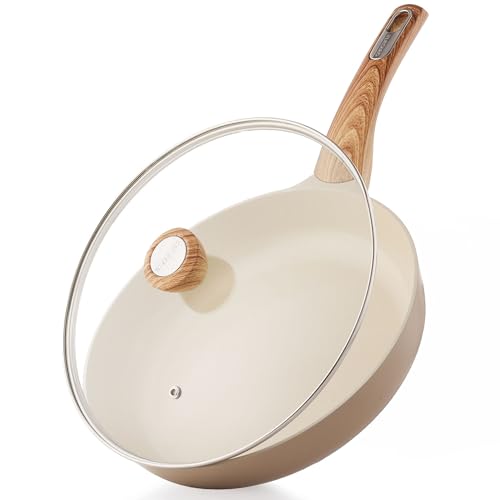 9.5inch Ceramic Nonstick Frying Pan Paella Pan with Lid (9.5 Inch / TAFFEE Taupe)