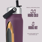Recycled Stainless Steel Explorer with Flip Straw Lid (Plum / 24 Ounces)