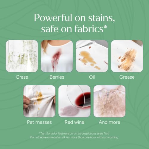Stain Remover (4 Fl Oz (Pack of 2))