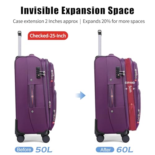 Softside Expandable Luggage with 4 Spinner Wheels (Purple / 2-Piece Set (21/25))