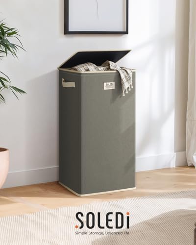 100L Laundry Hamper with Lid (Cement / 100L)