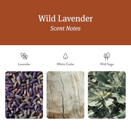 Home Scent Diffuser Refills in Wild Lavender (Refills)