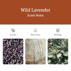Home Scent Diffuser Refills in Wild Lavender (Refills)