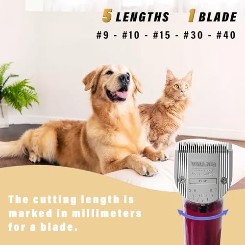 1-Pack 5-in-1 Replacement Blade Compatible with Wahl Animal Bravura Clipper (Silver / 1 Pack)