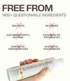 Natural Shampoo With Organic Ingredients (Daily Shampoo / 9.6 Fl Oz (Pack of 1))