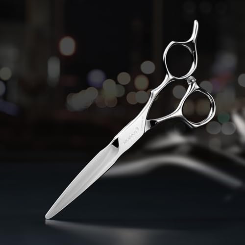 AOLANDUO Master Series VG10 Steel Professional Hair Cutting Scissors (Wet and Dry / 6.0 Inch)