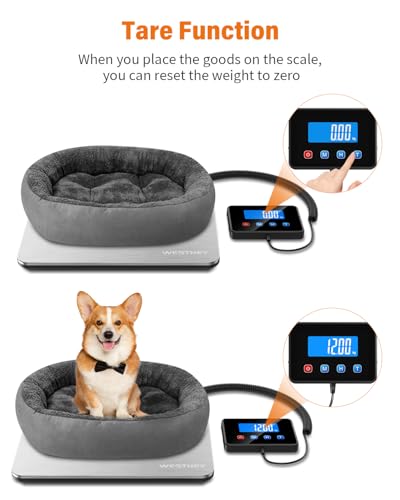 Shipping Scale
