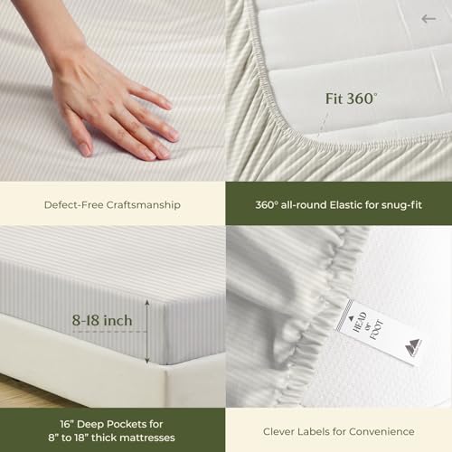 100% Egyptian Cotton Queen Size Sheets Set (Queen / 23 - Striped Ivory)