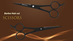 Promax Hair Cutting Scissors,6.5 Inch Hairdressing Scissor, Premium Stainless Steel Razor with Sharp Edge Blade & Salon Scissors, for Men, Women, Barber, Kids, Adults, Pets - 210-10235B