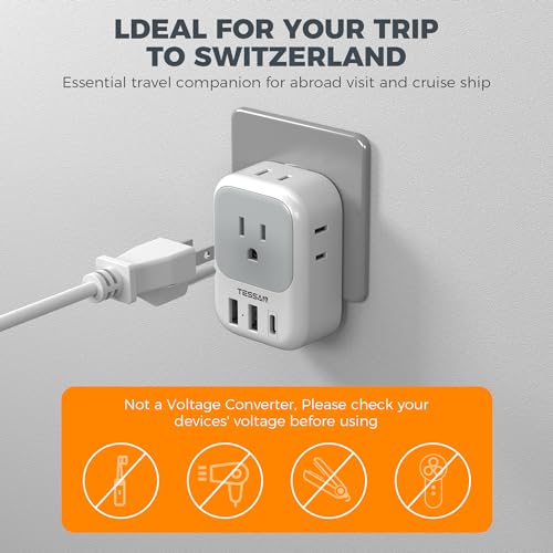 Switzerland Travel Plug Adapter (White grey-Type J)