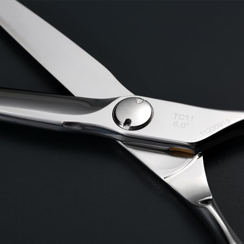 AOLANDUO Master Series VG10 Steel Professional Hair Cutting Scissors (Wet and Dry / 6.0 Inch)