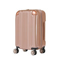 Hardside Expandable Zipper Luggage (22 inch / Rose Gold)