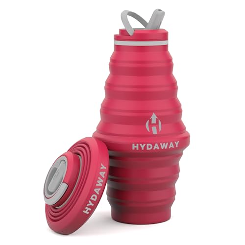 25oz Collapsible Water Bottle (Raspberry)