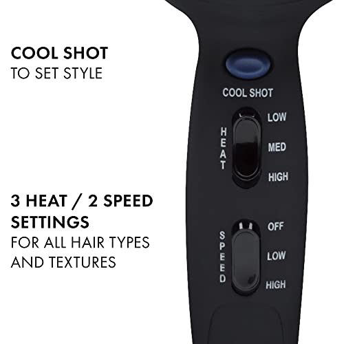 Pro Artist Turbo Styling Hair Dryer (Silver/Black / 1 Count (Pack of 1))