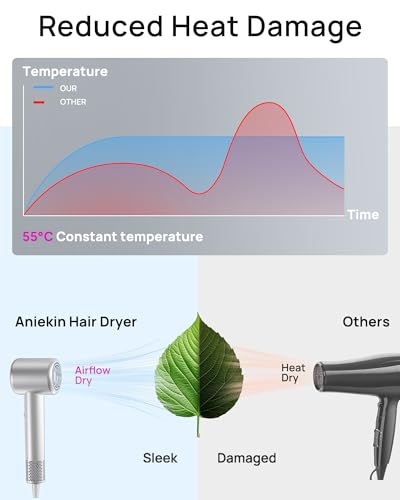 Hair Dryer High (Silver)