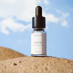 Ocean Diffuser Oil Scents for Home (0.34 Fl Oz (Pack of 1))