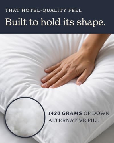 Bed Pillows King Size Set of 2 (King / White)