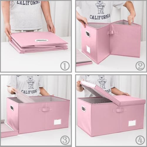 Collapsible Storage Box with Lid [3 (Pink / X-Large(3-Pack))