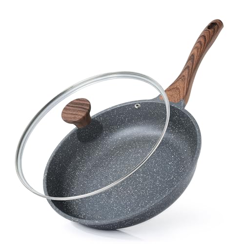 11inch Nonstick Frying Pan Chef's Pan with Glass Lid (Gray Granite / 11 Inch)