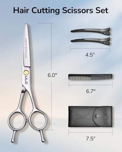 6.5" Silver Premium Hair Scissors