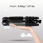 Compact Traveler 5C Tripod 54.3 inches Lightweight Carbon Fiber Travel Tripod for Camera with 360° Panorama Ball Head for Arca Swiss Quick Release Plate (Carbon Tripod 5C)